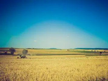 praymri pichrs 400X300_1.jpg